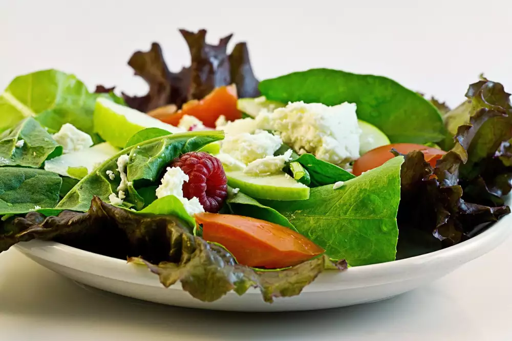 Sibo Dieta