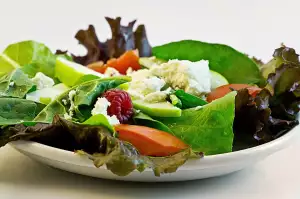 Sibo Dieta